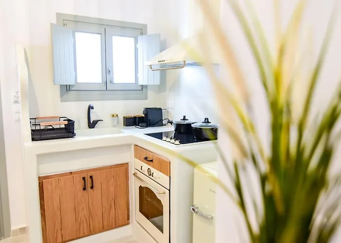 νio Chorio Naxos Old Town 公寓